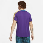 Nike Court Breathe Slam Melbourne Mens Polo (Purple/Green Abyss/Parachute Beige)