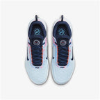 Nike Zoom Court NXT HC Mens Tennis Shoes (Glacier Blue/Midnight navy)