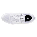 Mizuno Wave Momentum Pro Indoor Shoes