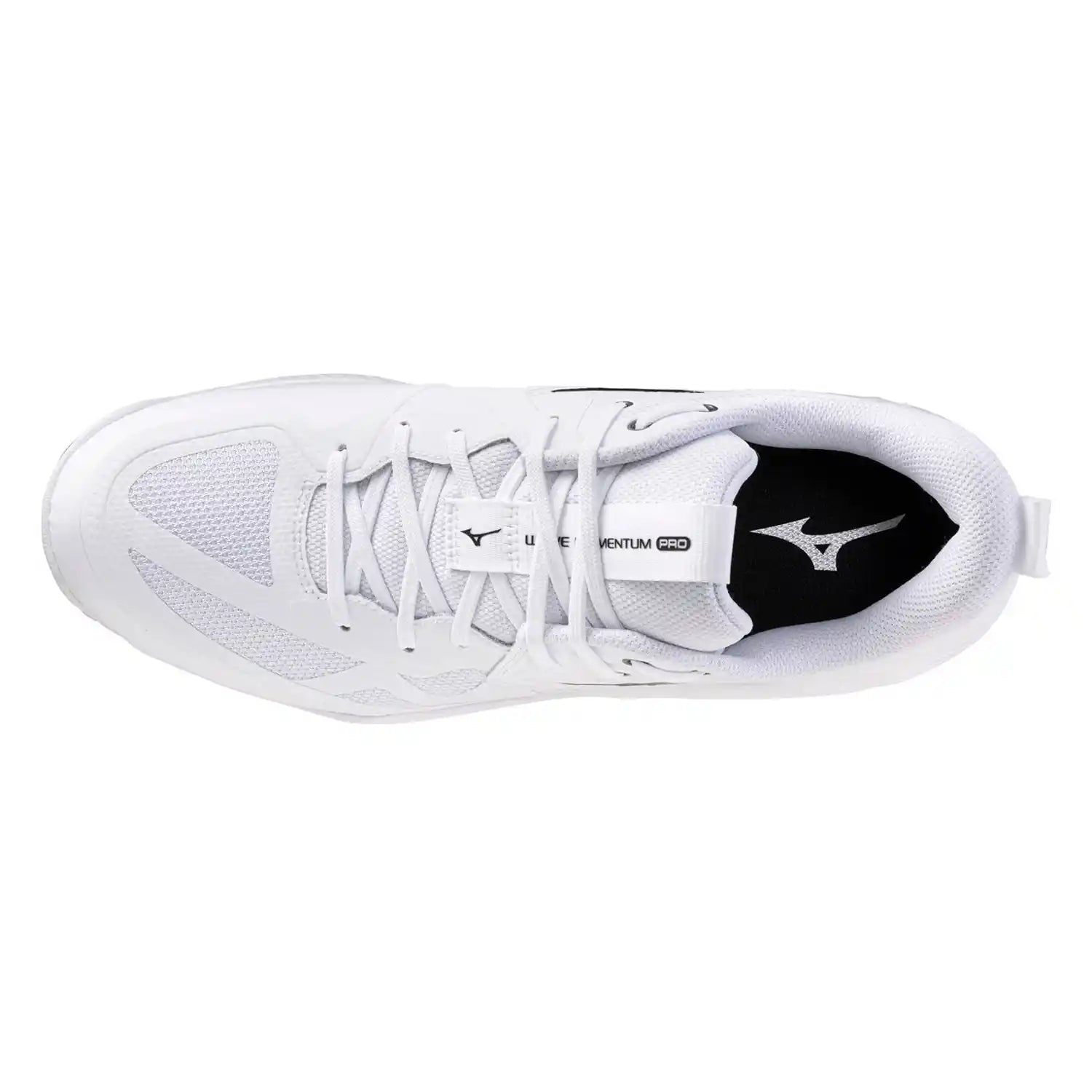 Mizuno Wave Momentum Pro Indoor Shoes