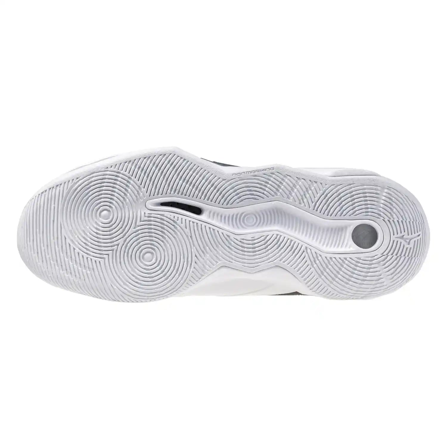 Mizuno Wave Momentum Pro Indoor Shoes